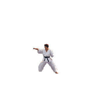 Vintage Karate Game Pixelart Vinyl Car Decal Sticker – Waterproof & UV-Resistant 4.0"