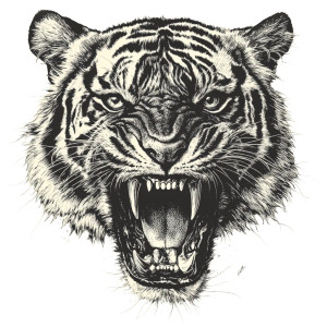 Vintage Tiger Head Vinyl Car Decal Sticker – Waterproof & UV-Resistant 4.0" Vintage Tiger Head Vinyl Car Decal Sticker – Waterproof & UV-Resistant 4.0"