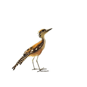 Warm Roadrunner Illustration Vinyl Car Decal Sticker – Waterproof & UV-Resistant 4.0" Warm Roadrunner Illustration Vinyl Car Decal Sticker – Waterproof & UV-Resistant 4.0"