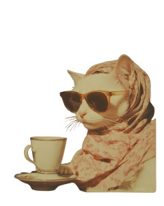 White Cat Sunglasses Volcano Vinyl Car Decal Sticker – Waterproof & UV-Resistant 4.0"