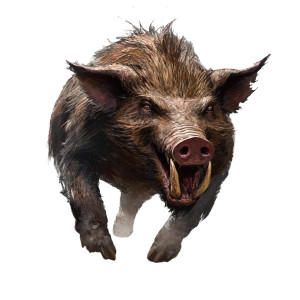 Wild Boar Dnd Art Vinyl Car Decal Sticker – Waterproof & UV-Resistant 4.0"