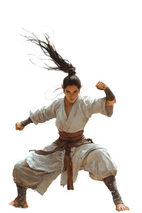 Elf Monk Training Vinyl Car Decal Sticker – Waterproof & UV-Resistant 8" Elf Monk Training Vinyl Car Decal Sticker – Waterproof & UV-Resistant 8"