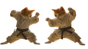 Karate Cats Dojo Vinyl Car Decal Sticker – Waterproof & UV-Resistant 8" Karate Cats Dojo Vinyl Car Decal Sticker – Waterproof & UV-Resistant 8"
