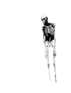 Floating Skeleton Comic Vinyl Car Decal Sticker – Waterproof & UV-Resistant 8" Floating Skeleton Comic Vinyl Car Decal Sticker – Waterproof & UV-Resistant 8"