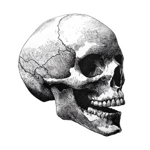 Ink Skull Sketch Vinyl Car Decal Sticker – Waterproof & UV-Resistant 8" Ink Skull Sketch Vinyl Car Decal Sticker – Waterproof & UV-Resistant 8"