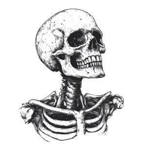 Skeleton Illustration Vinyl Car Decal Sticker – Waterproof & UV-Resistant 8" Skeleton Illustration Vinyl Car Decal Sticker – Waterproof & UV-Resistant 8"