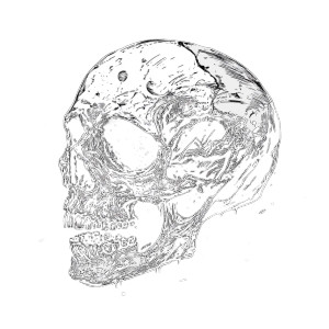 Death Metal Skull Vinyl Car Decal Sticker – Waterproof & UV-Resistant 8"