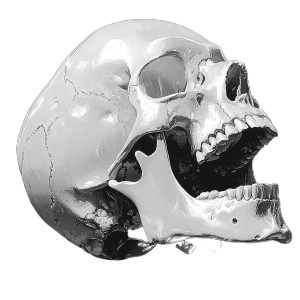 Open Mouth Skull Vinyl Car Decal Sticker – Waterproof & UV-Resistant 8" Open Mouth Skull Vinyl Car Decal Sticker – Waterproof & UV-Resistant 8"