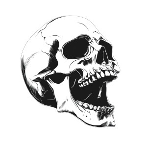 Laughing Skull Pattern Vinyl Car Decal Sticker – Waterproof & UV-Resistant 8" Laughing Skull Pattern Vinyl Car Decal Sticker – Waterproof & UV-Resistant 8"
