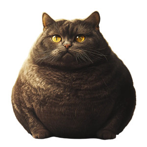 Fat Cat Vinyl Car Decal Sticker – Waterproof & UV-Resistant 8" Fat Cat Vinyl Car Decal Sticker – Waterproof & UV-Resistant 8"