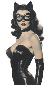 Vintage Catwoman Vinyl Car Decal Sticker – Waterproof & UV-Resistant 8"