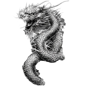 Asian Dragon Tattoo Vinyl Car Decal Sticker – Waterproof & UV-Resistant 8" Asian Dragon Tattoo Vinyl Car Decal Sticker – Waterproof & UV-Resistant 8"