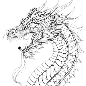 Dragon Design Vinyl Car Decal Sticker – Waterproof & UV-Resistant 8" Dragon Design Vinyl Car Decal Sticker – Waterproof & UV-Resistant 8"