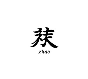Zhao Character Logo Vinyl Car Decal Sticker – Waterproof & UV-Resistant 8"