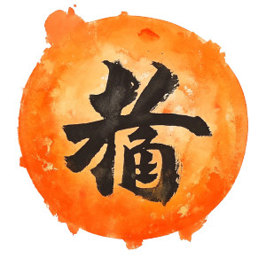 Orange Kanji Circle Vinyl Car Decal Sticker – Waterproof & UV-Resistant 8"