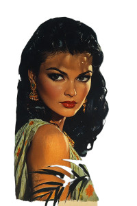 Pulp Indian Illustration Vinyl Car Decal Sticker – Waterproof & UV-Resistant 8"