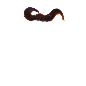 Fiery Metal Demon Vinyl Car Decal Sticker – Waterproof & UV-Resistant 8"