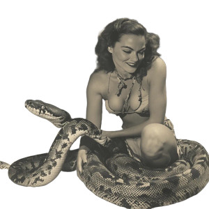 Florida Wild Woman Vinyl Car Decal Sticker – Waterproof & UV-Resistant 8" Florida Wild Woman Vinyl Car Decal Sticker – Waterproof & UV-Resistant 8"