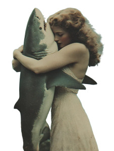 Woman Embracing Shark Vinyl Car Decal Sticker – Waterproof & UV-Resistant 8"