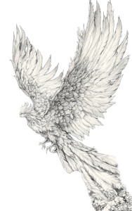 Phoenix Rising Vinyl Car Decal Sticker – Waterproof & UV-Resistant 8" Phoenix Rising Vinyl Car Decal Sticker – Waterproof & UV-Resistant 8"
