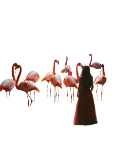 Peter Pan In Rainforest Vinyl Car Decal Sticker – Waterproof & UV-Resistant 8"