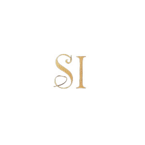 Si Logo V2 Vinyl Car Decal Sticker – Waterproof & UV-Resistant 8" Si Logo V2 Vinyl Car Decal Sticker – Waterproof & UV-Resistant 8"