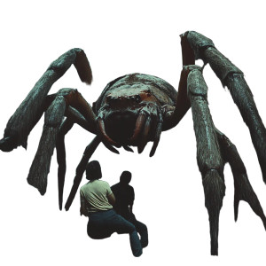 Giant Jungle Spider Vinyl Car Decal Sticker – Waterproof & UV-Resistant 8" Giant Jungle Spider Vinyl Car Decal Sticker – Waterproof & UV-Resistant 8"