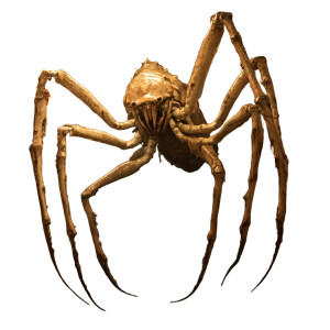 Deep-Sea Arthropod Vinyl Car Decal Sticker – Waterproof & UV-Resistant 8"