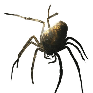 Spider Mother Vinyl Car Decal Sticker – Waterproof & UV-Resistant 8"