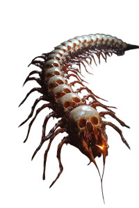 Skull Centipede Vinyl Car Decal Sticker – Waterproof & UV-Resistant 8" Skull Centipede Vinyl Car Decal Sticker – Waterproof & UV-Resistant 8"