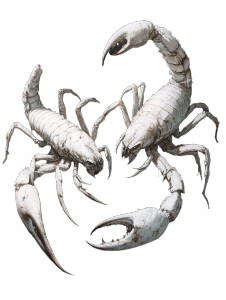 Fighting White Scorpions Vinyl Car Decal Sticker – Waterproof & UV-Resistant 8"