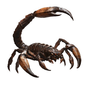 Giant Scorpion Creature Vinyl Car Decal Sticker – Waterproof & UV-Resistant 8"