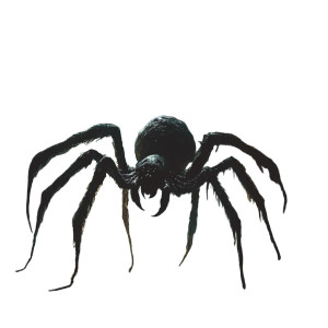 Giant Fantasy Spider Vinyl Car Decal Sticker – Waterproof & UV-Resistant 8" Giant Fantasy Spider Vinyl Car Decal Sticker – Waterproof & UV-Resistant 8"