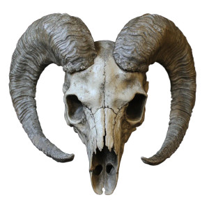 Evil Sheep Skull Vinyl Car Decal Sticker – Waterproof & UV-Resistant 8"