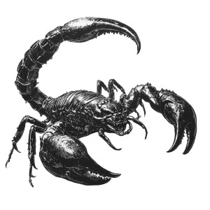 Chimeric Scorpion Monster Vinyl Car Decal Sticker – Waterproof & UV-Resistant 8"