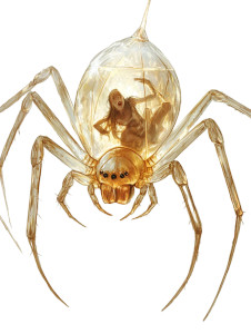 Giant Glass Spider Vinyl Car Decal Sticker – Waterproof & UV-Resistant 8"