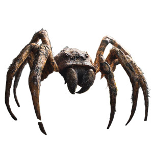 Giant Jungle Spider V4 Vinyl Car Decal Sticker – Waterproof & UV-Resistant 8"