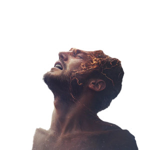 Ascending Wince Vinyl Car Decal Sticker – Waterproof & UV-Resistant 8"