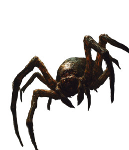 Giant Monstrous Arachnid Vinyl Car Decal Sticker – Waterproof & UV-Resistant 8"