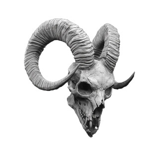 Demon Goat Skull Vinyl Car Decal Sticker – Waterproof & UV-Resistant 8" Demon Goat Skull Vinyl Car Decal Sticker – Waterproof & UV-Resistant 8"