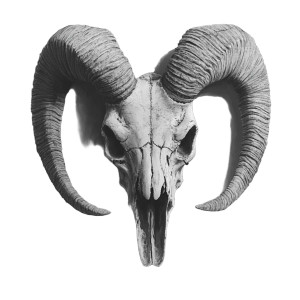 Goat'S Skull Vinyl Car Decal Sticker – Waterproof & UV-Resistant 8" Goat'S Skull Vinyl Car Decal Sticker – Waterproof & UV-Resistant 8"