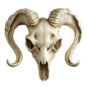Djali Goat Skull Vinyl Car Decal Sticker – Waterproof & UV-Resistant 8"