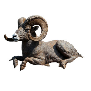 Big Horn Sheep Vinyl Car Decal Sticker – Waterproof & UV-Resistant 8" Big Horn Sheep Vinyl Car Decal Sticker – Waterproof & UV-Resistant 8"