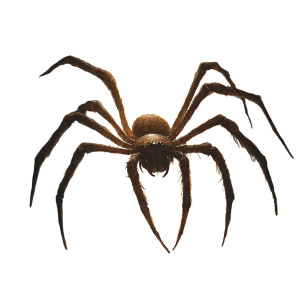 Giant 12-Legged Spider Vinyl Car Decal Sticker – Waterproof & UV-Resistant 8"