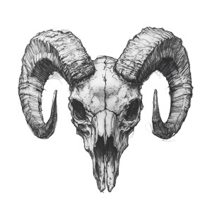 Ram Skull Sketch V2 Vinyl Car Decal Sticker – Waterproof & UV-Resistant 8"
