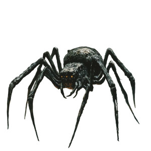 Giant Spider Fantasy Vinyl Car Decal Sticker – Waterproof & UV-Resistant 8"