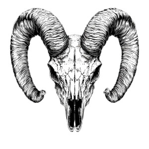 Ram Skull Illustration Vinyl Car Decal Sticker – Waterproof & UV-Resistant 8"