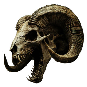 Vicious Ram Skull Vinyl Car Decal Sticker – Waterproof & UV-Resistant 8" Vicious Ram Skull Vinyl Car Decal Sticker – Waterproof & UV-Resistant 8"