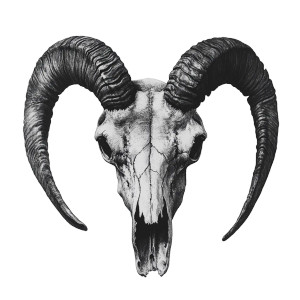 Goat Skull Drawing V2 Vinyl Car Decal Sticker – Waterproof & UV-Resistant 8" Goat Skull Drawing V2 Vinyl Car Decal Sticker – Waterproof & UV-Resistant 8"