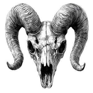 Cracked Ram Skull Vinyl Car Decal Sticker – Waterproof & UV-Resistant 8"